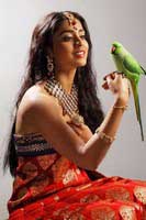 Shriya Latest Photoshoot
